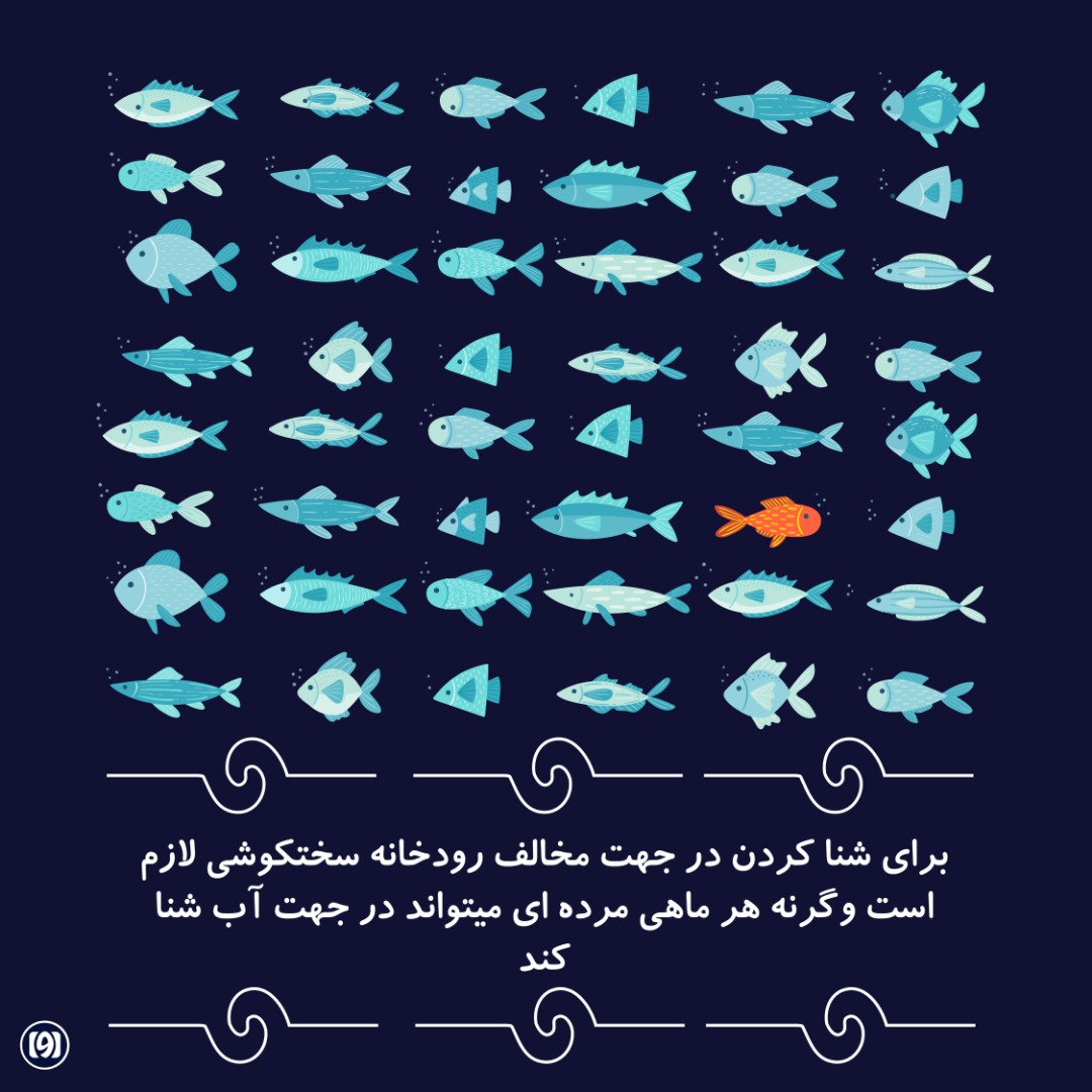 تولید محتوا شبکات اجتماعی — نمونه کارها